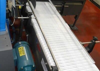 Example of a belt conveyor for conveying food