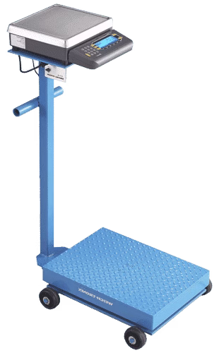 Industrial Portable Floor Scale Industrial Portable Floor Scale