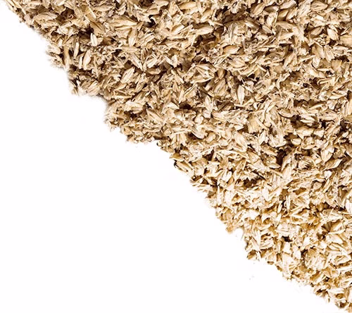 Spent grain in corner