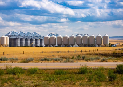 Corrugated (galvanized) silos by smooth wall (carbon steel) silos